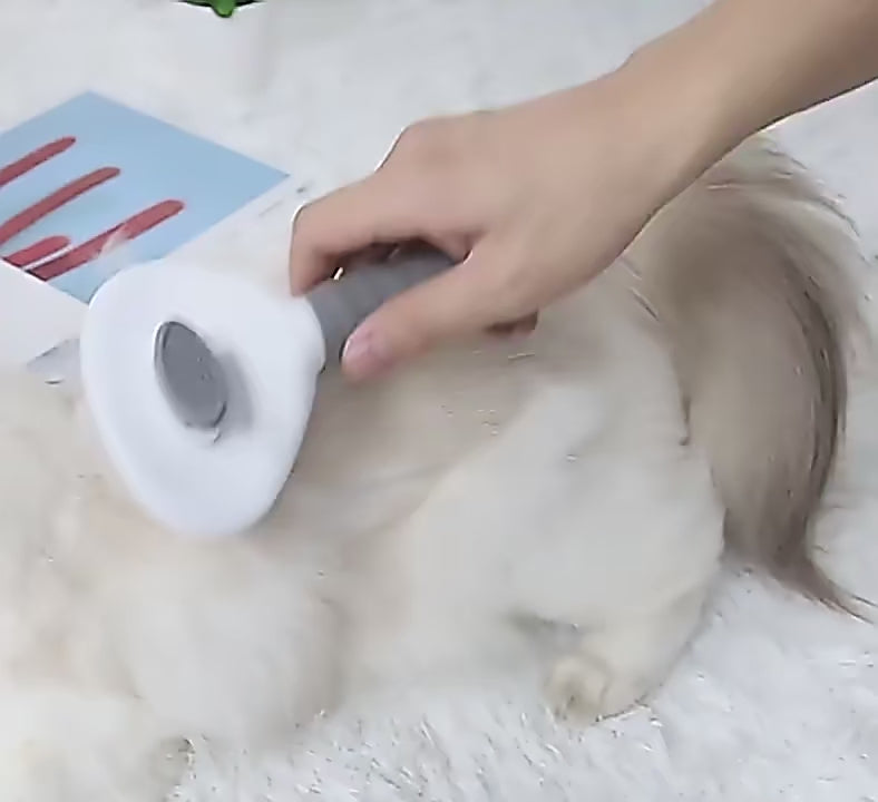 Escova de cabelo para cães e gatos com remoção de pelos em excesso